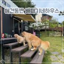 해마루유치원 | 경북 영주 애견 동반 펜션 배때기네하우스, 해마루 독채 바베큐 내돈내산 추천 후기
