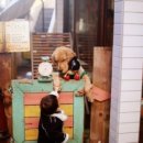 홈플러스 당구클럽 | 팬콧키즈트레이닝복::사직아시아드홈플러스::스포츠키즈클럽::