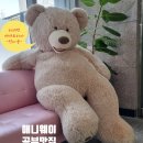 애니웨이스터디카페 이미지