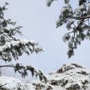영축산 이미지