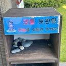 바하펜션 | [전남/완도 숙소] 바하 펜션