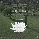 수목장 | 수목장 후기 정리, 실제 선택한 가족들이 말하는 장점과 고민 포인트