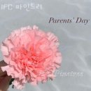 여의도동꽃집 IFC 파인트리 가격 위치 영업시간