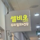 장미로48번길 | 분당 두피관리 셀비오 분당점 두피케어 솔직 후기