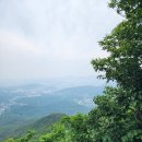수원 광교산 6월3일 지자제선거 이미지