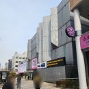 강남차병원 자궁 용종 폴립 제거 수술 및 주차 후기 (최수현 교수)