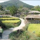 옛마을 풍경 고스란히 간직하고 있는 전남 장성 금곡마을 이미지