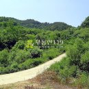 지산리 펜션 이미지