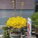 문화크리닝 이미지