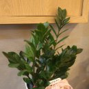 케렌시아사우나 이미지