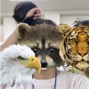 대변병설유치원 | 여름방학 병설유치원 근로 후기