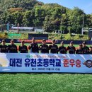 세종제1야구장 이미지