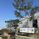 행복드림피자 경산점 | [대구근교 경산대형카페 ]아기랑가볼만한 곳 브리프저니 후기