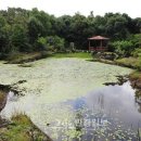 동백동산 이미지