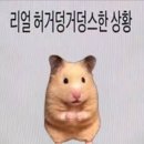 대학로마트 | 3월 1주차 | 대학로 연극 사랑해, 엄마 후기