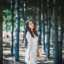 드레스코코 네이버블로그