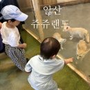 고양 쥬쥬랜드 일산 아기랑 갈만한곳 동물원 방문후기