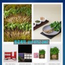 드림큐브시스템 이미지