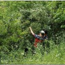 남진농장 이미지