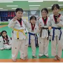 가동태권도 이미지