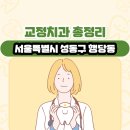 서울특별시 성동구 행당동 교정치과 총정리