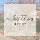 다로산 스파펜션 | [여행] 강릉, 양양 펜션 추천, 다로산 펜션 두 번째 방문기ෆ