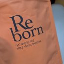 붓기차 황기차 리본차 Reborn차 내돈내산 후기 feat. 그립 미니언니