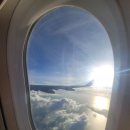 인출농장 | 호주워홀 시작 (1) - 2025.12.15 ~ 12.21 / 환전 &amp; 유심 &amp; 교통카드 &amp; 잡 구하기 &amp; 호주 통장·카드...