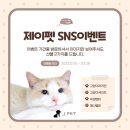 Jpet동물병원 이미지