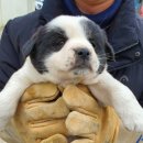 화상천로 이미지