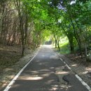 방신1리 이미지