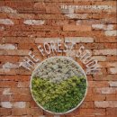 카페더숲 이미지