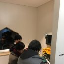 엔젤펫애견샵 이미지