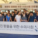논산시 동물보호센터 이미지