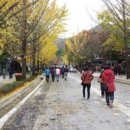 용문산 입구 웰빙음식 전문점 뉘뫼주