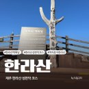 도동김밥 | [제주] 한라산 성판악코스 여자 혼자 등산, 주차 예약 등정인증서 소요시간 후기