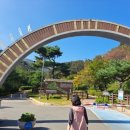 무궁화수목원 이미지