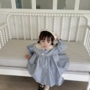 풀레브(PULEV)