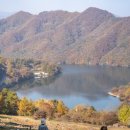 양은목장 이미지