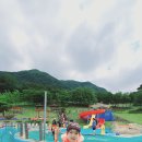 정덕병설유치원 이미지
