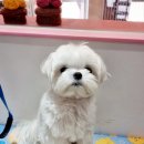 오늘도 너에개 이미지