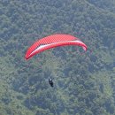 버드스쿨 이미지