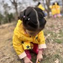 다숲어린이집 - 수원시 권선구 | 다숲어린이집
