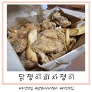닭쟁이피자쟁이 이미지