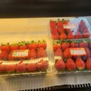 정성고기&과일포유 이미지