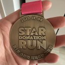 런스타 | 첫 하프마라톤 후기 _스타기부런