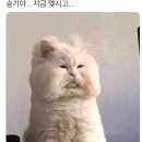 오브스토리지