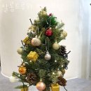 Muscle Bomb(머슬밤) | 안양 호계동 헬스장 머슬밤 PT&amp;헬스 가격 위치
