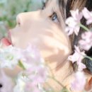압구정-223 이미지