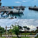 이동레포츠공원 족구장 | 제주공항 근처 아이랑 가볼 만한 곳 용담레포츠공원 후기